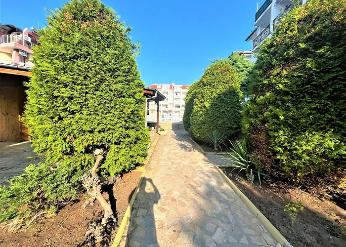 Bravo 5 סאני ביץ'